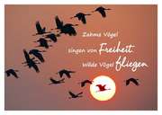 Bild 01